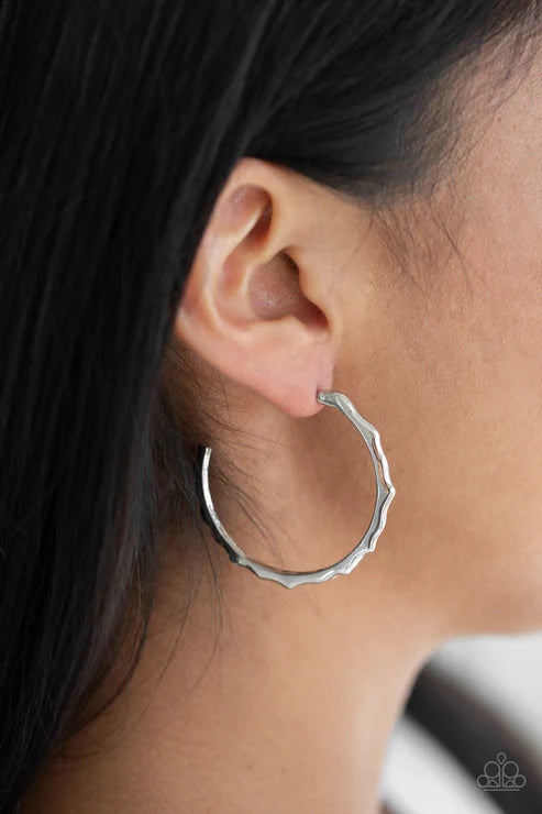 Paparazzi ♥ Danger Zone - Silver ♥ Earrings