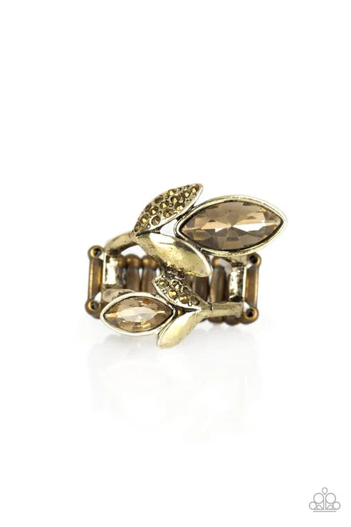 Paparazzi ♥ Flawless Foliage - Brass ♥ Ring
