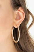 Paparazzi ♥ Comin Into Money - Gold ♥ Earrings