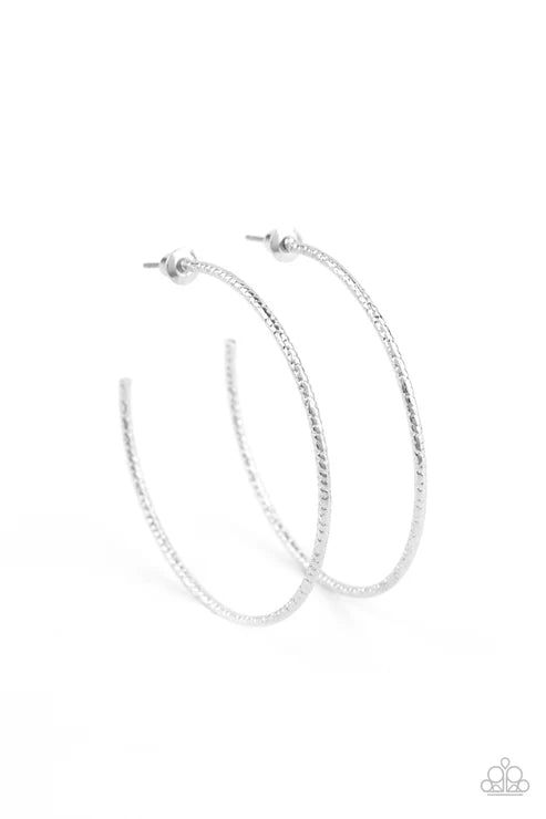 Paparazzi ♥ Inclined To Entwine - Silver ♥ Earrings
