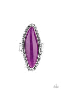Paparazzi ♥ Mineral Mine - Purple ♥ Ring